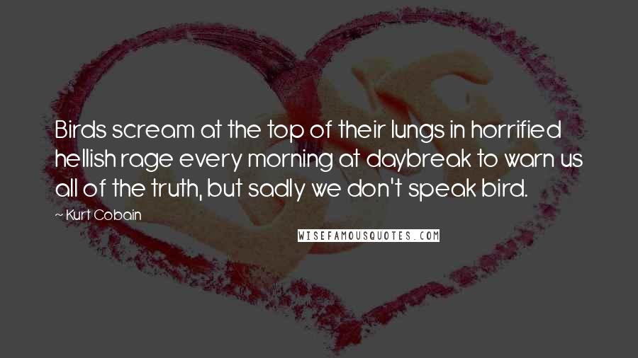 Kurt Cobain Quotes: Birds scream at the top of their lungs in horrified hellish rage every morning at daybreak to warn us all of the truth, but sadly we don't speak bird.