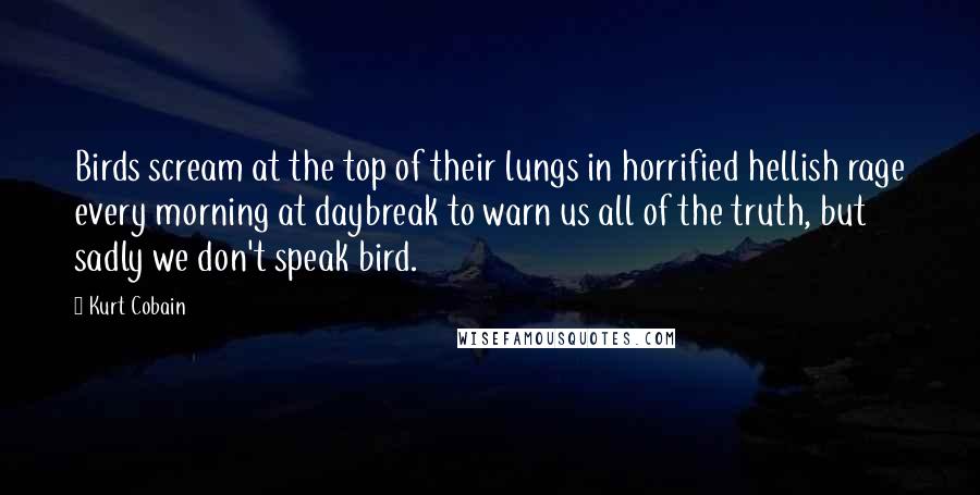 Kurt Cobain Quotes: Birds scream at the top of their lungs in horrified hellish rage every morning at daybreak to warn us all of the truth, but sadly we don't speak bird.