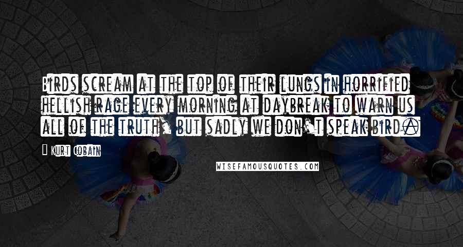 Kurt Cobain Quotes: Birds scream at the top of their lungs in horrified hellish rage every morning at daybreak to warn us all of the truth, but sadly we don't speak bird.