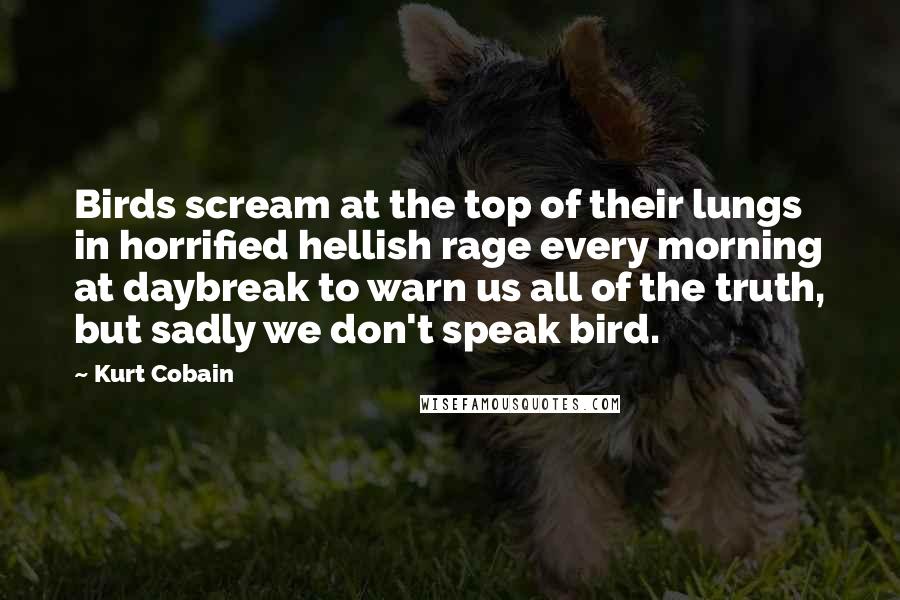 Kurt Cobain Quotes: Birds scream at the top of their lungs in horrified hellish rage every morning at daybreak to warn us all of the truth, but sadly we don't speak bird.