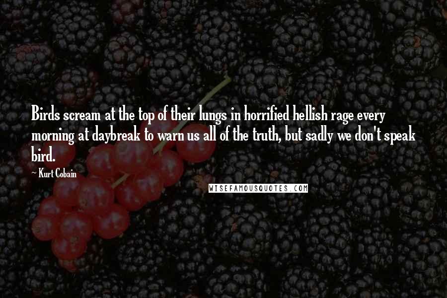 Kurt Cobain Quotes: Birds scream at the top of their lungs in horrified hellish rage every morning at daybreak to warn us all of the truth, but sadly we don't speak bird.