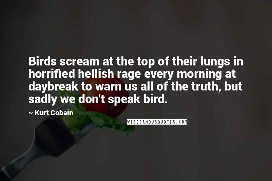 Kurt Cobain Quotes: Birds scream at the top of their lungs in horrified hellish rage every morning at daybreak to warn us all of the truth, but sadly we don't speak bird.