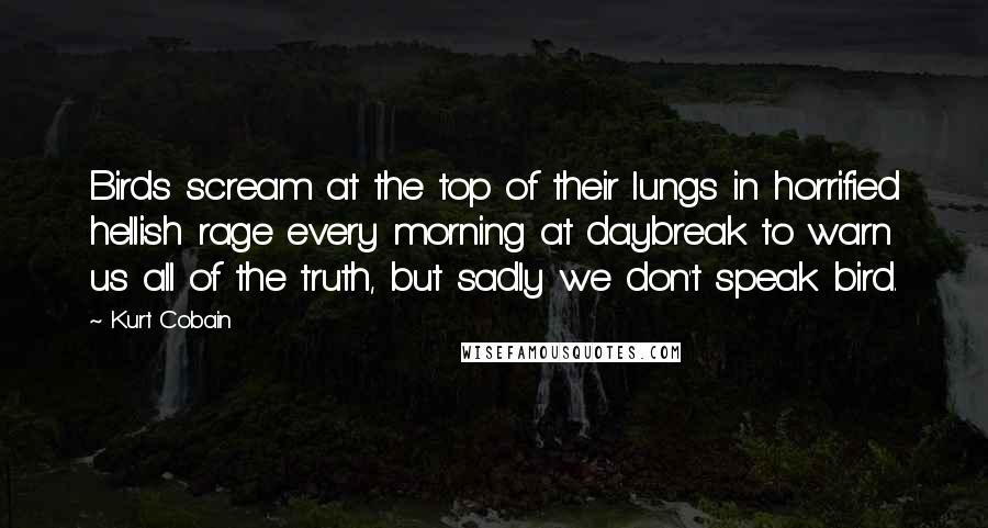 Kurt Cobain Quotes: Birds scream at the top of their lungs in horrified hellish rage every morning at daybreak to warn us all of the truth, but sadly we don't speak bird.