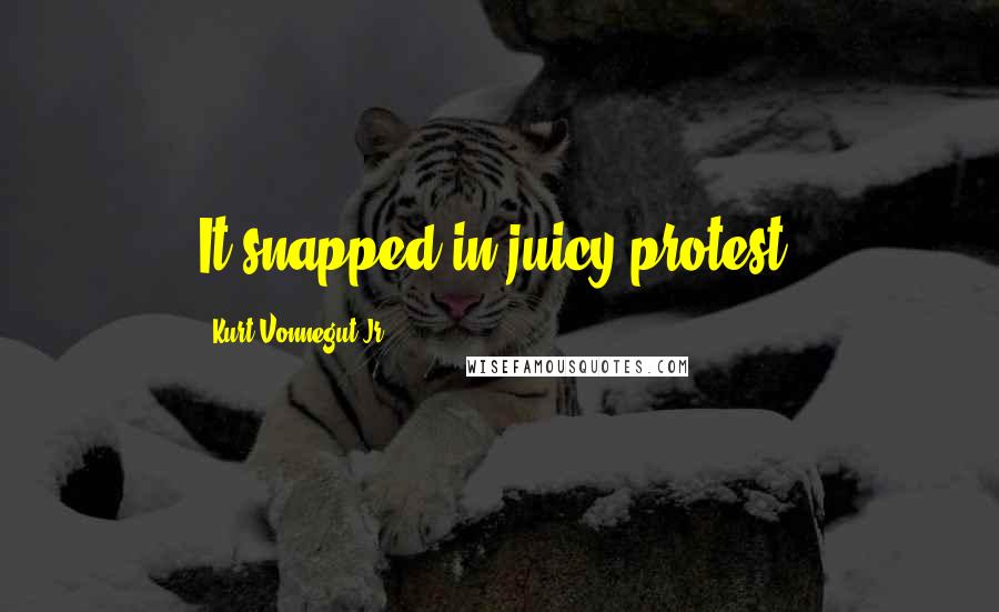 Kurt Vonnegut Jr. Quotes: It snapped in juicy protest.