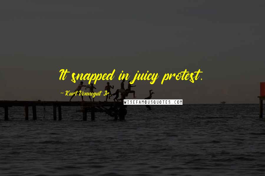 Kurt Vonnegut Jr. Quotes: It snapped in juicy protest.