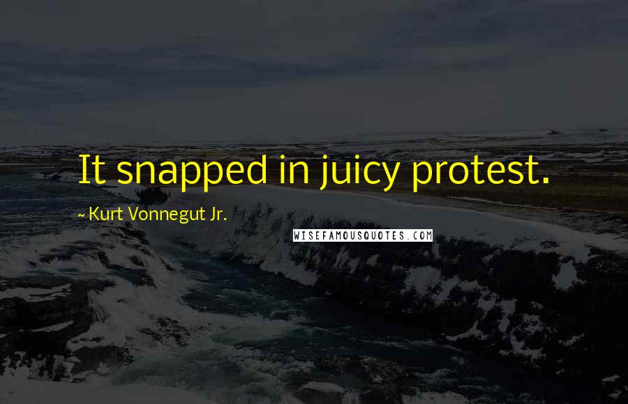 Kurt Vonnegut Jr. Quotes: It snapped in juicy protest.