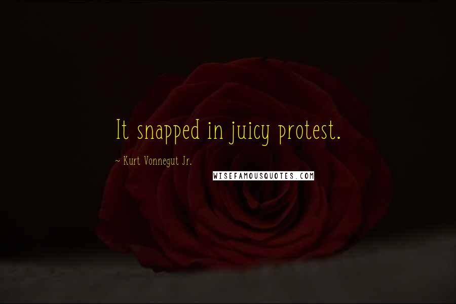 Kurt Vonnegut Jr. Quotes: It snapped in juicy protest.