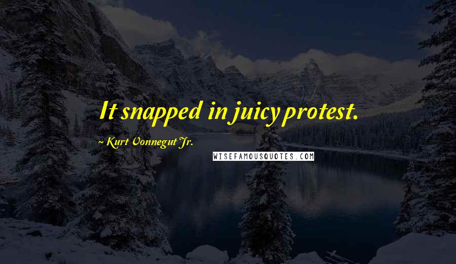 Kurt Vonnegut Jr. Quotes: It snapped in juicy protest.