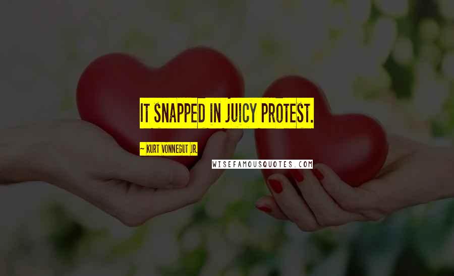 Kurt Vonnegut Jr. Quotes: It snapped in juicy protest.
