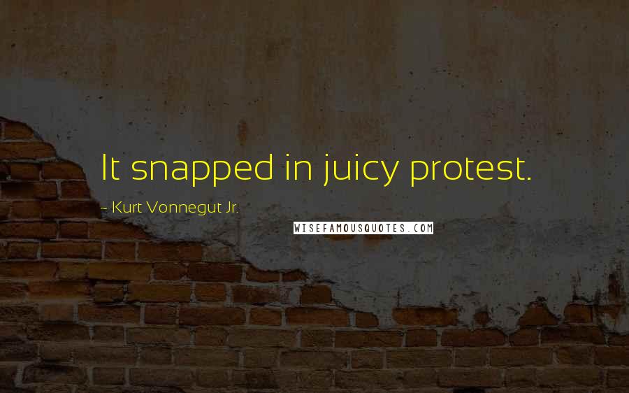 Kurt Vonnegut Jr. Quotes: It snapped in juicy protest.