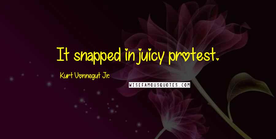 Kurt Vonnegut Jr. Quotes: It snapped in juicy protest.