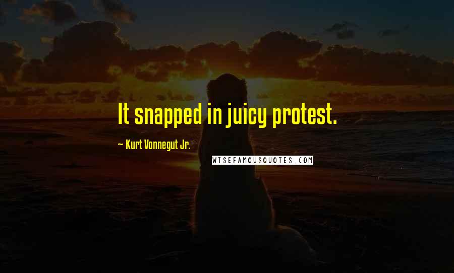 Kurt Vonnegut Jr. Quotes: It snapped in juicy protest.