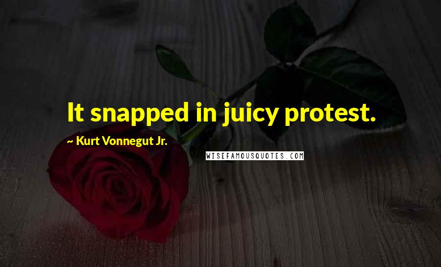 Kurt Vonnegut Jr. Quotes: It snapped in juicy protest.