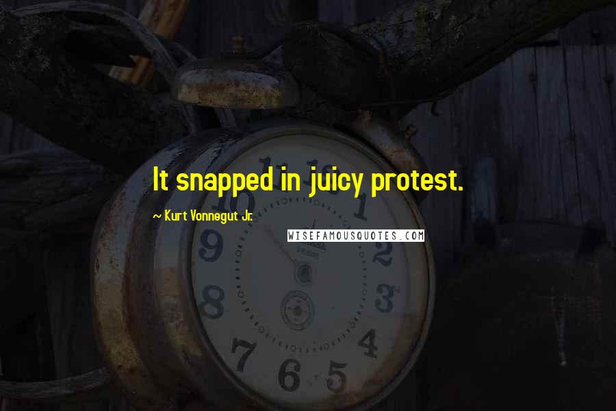 Kurt Vonnegut Jr. Quotes: It snapped in juicy protest.