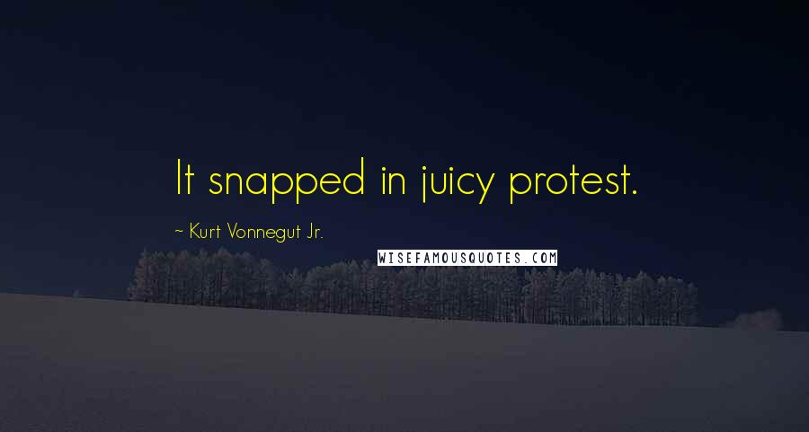 Kurt Vonnegut Jr. Quotes: It snapped in juicy protest.