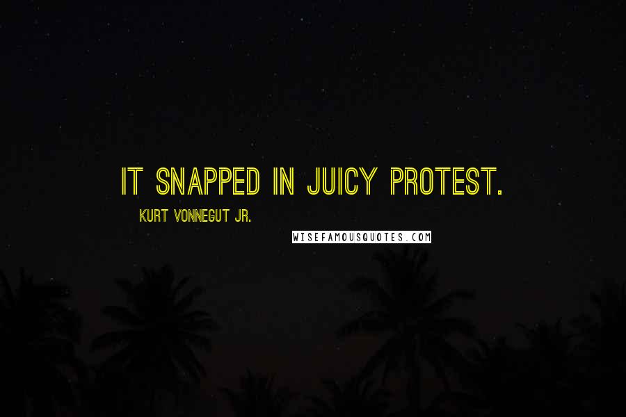 Kurt Vonnegut Jr. Quotes: It snapped in juicy protest.