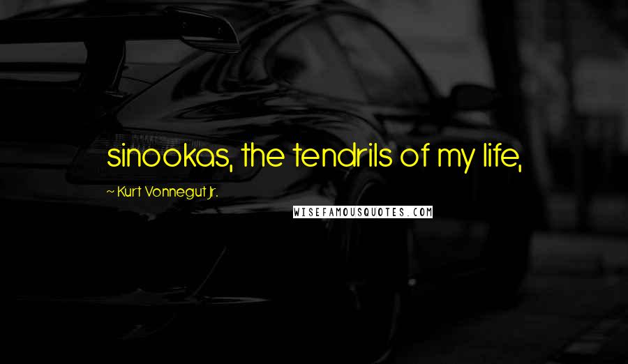 Kurt Vonnegut Jr. Quotes: sinookas, the tendrils of my life,