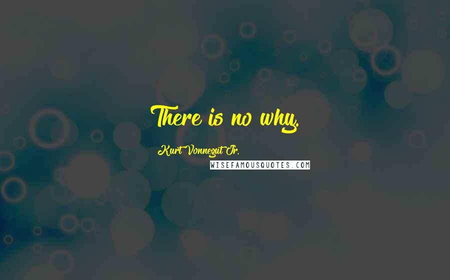 Kurt Vonnegut Jr. Quotes: There is no why.