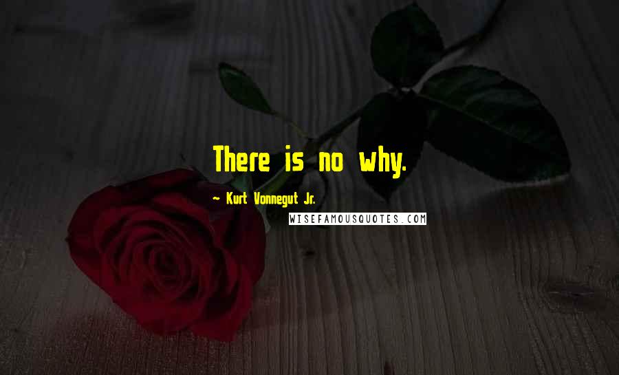 Kurt Vonnegut Jr. Quotes: There is no why.