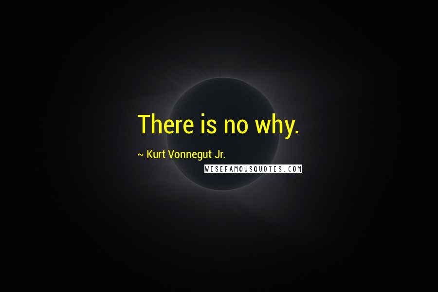 Kurt Vonnegut Jr. Quotes: There is no why.