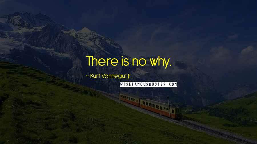 Kurt Vonnegut Jr. Quotes: There is no why.