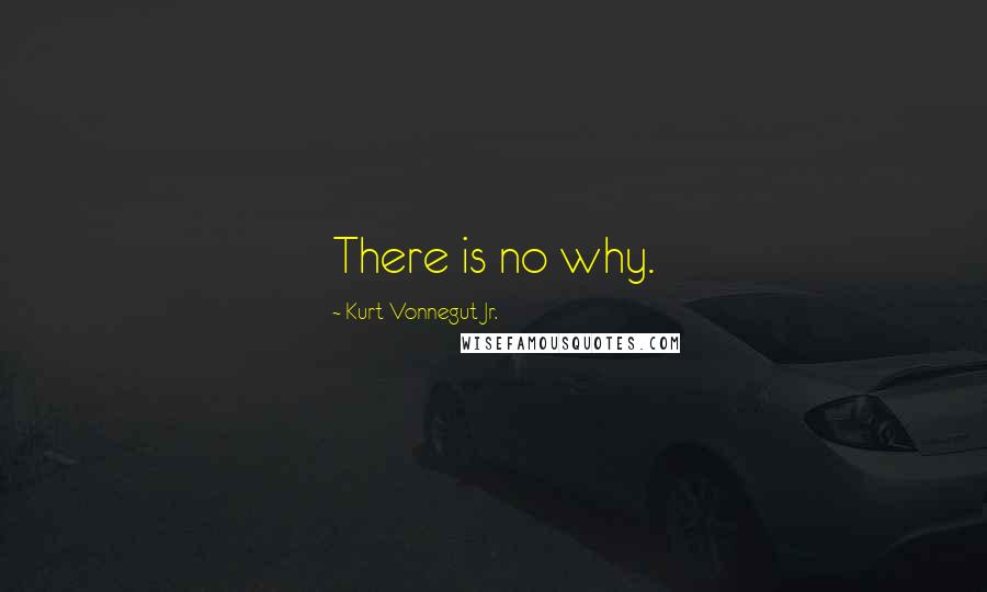 Kurt Vonnegut Jr. Quotes: There is no why.