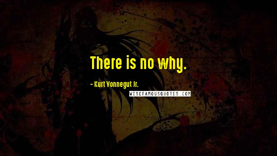 Kurt Vonnegut Jr. Quotes: There is no why.