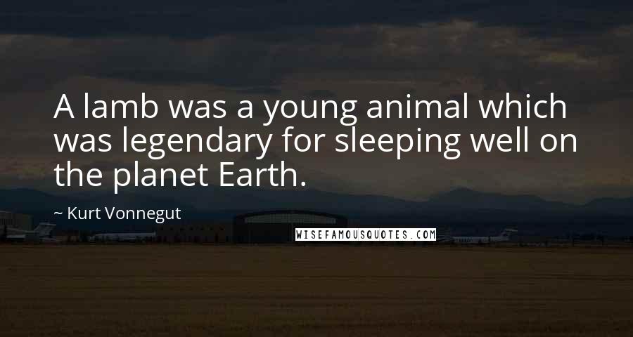 Kurt Vonnegut Quotes: A lamb was a young animal which was legendary for sleeping well on the planet Earth.