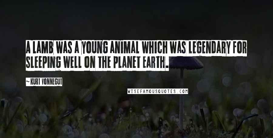 Kurt Vonnegut Quotes: A lamb was a young animal which was legendary for sleeping well on the planet Earth.