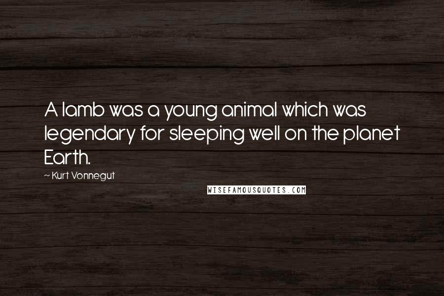 Kurt Vonnegut Quotes: A lamb was a young animal which was legendary for sleeping well on the planet Earth.