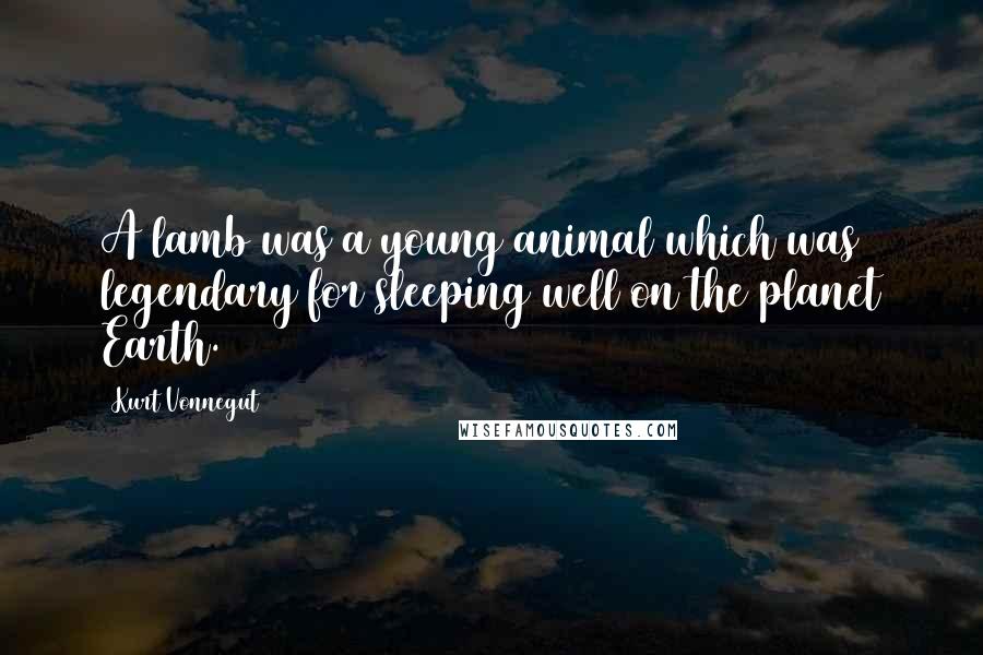 Kurt Vonnegut Quotes: A lamb was a young animal which was legendary for sleeping well on the planet Earth.