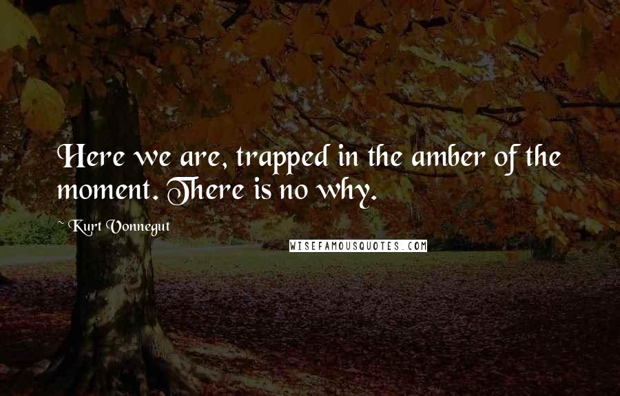 Kurt Vonnegut Quotes: Here we are, trapped in the amber of the moment. There is no why.