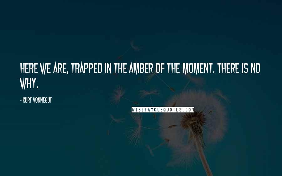 Kurt Vonnegut Quotes: Here we are, trapped in the amber of the moment. There is no why.