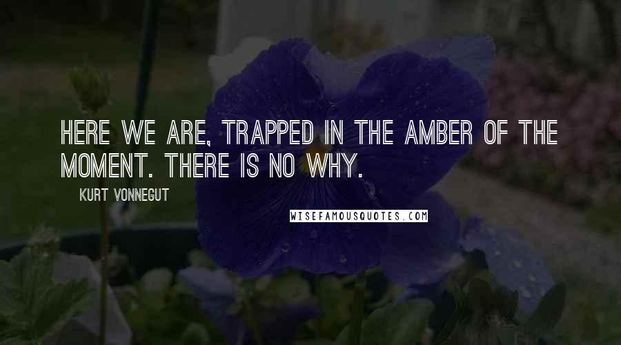 Kurt Vonnegut Quotes: Here we are, trapped in the amber of the moment. There is no why.