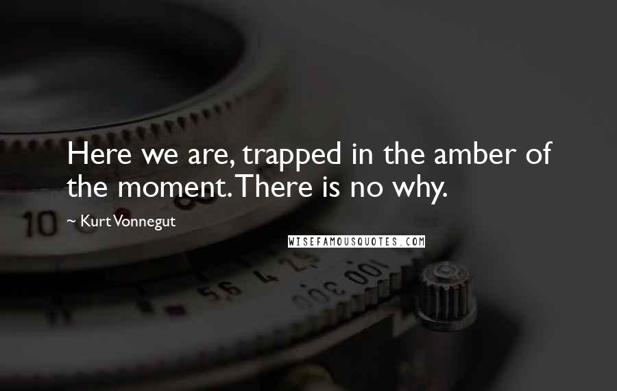 Kurt Vonnegut Quotes: Here we are, trapped in the amber of the moment. There is no why.