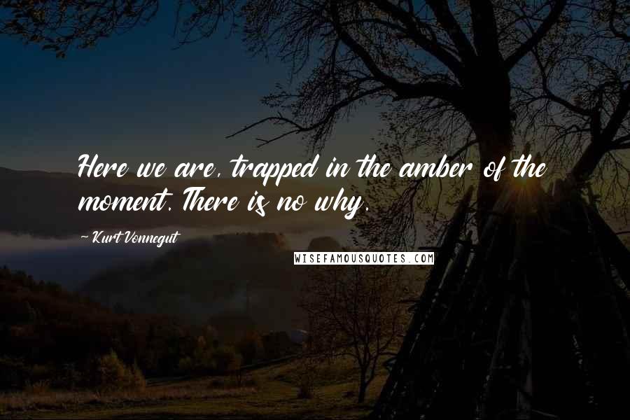 Kurt Vonnegut Quotes: Here we are, trapped in the amber of the moment. There is no why.