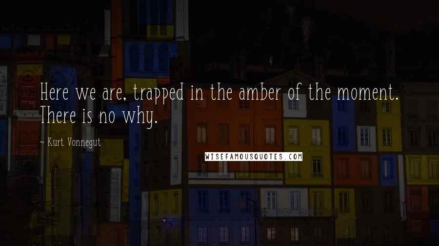 Kurt Vonnegut Quotes: Here we are, trapped in the amber of the moment. There is no why.