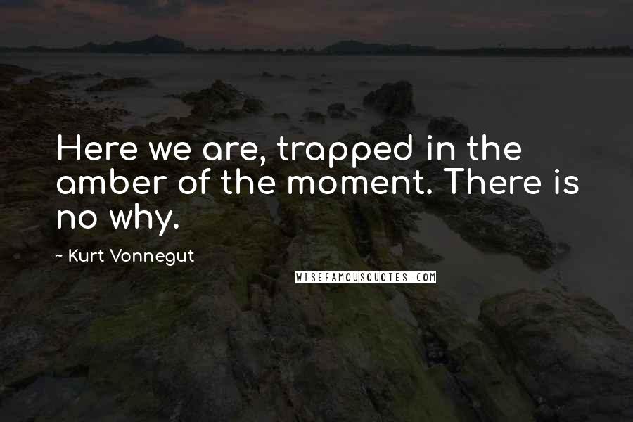 Kurt Vonnegut Quotes: Here we are, trapped in the amber of the moment. There is no why.