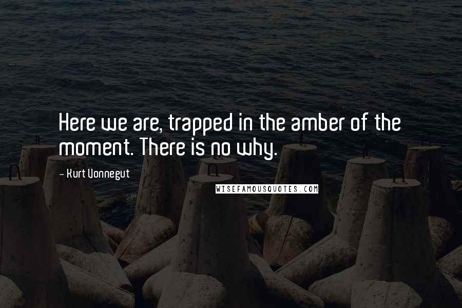 Kurt Vonnegut Quotes: Here we are, trapped in the amber of the moment. There is no why.