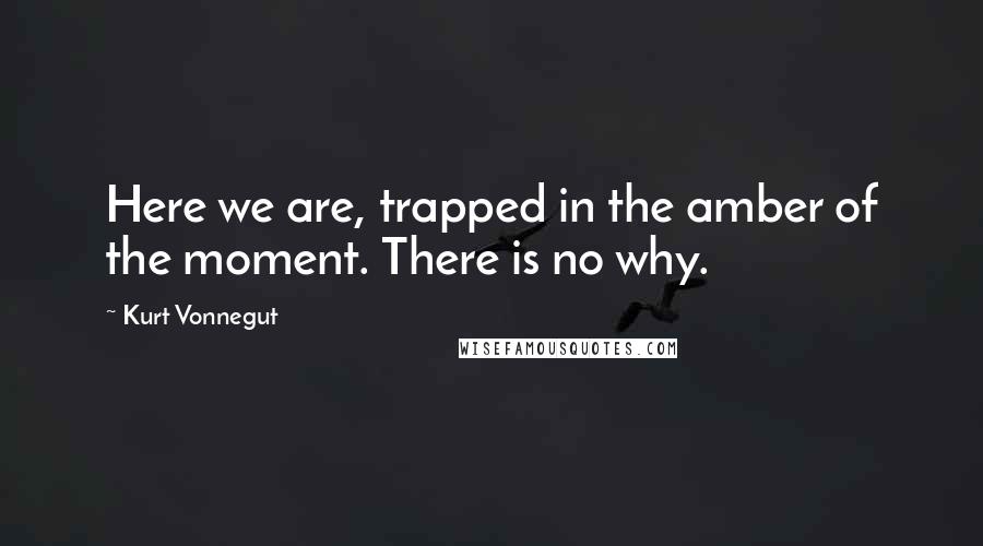 Kurt Vonnegut Quotes: Here we are, trapped in the amber of the moment. There is no why.