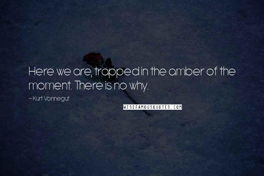 Kurt Vonnegut Quotes: Here we are, trapped in the amber of the moment. There is no why.