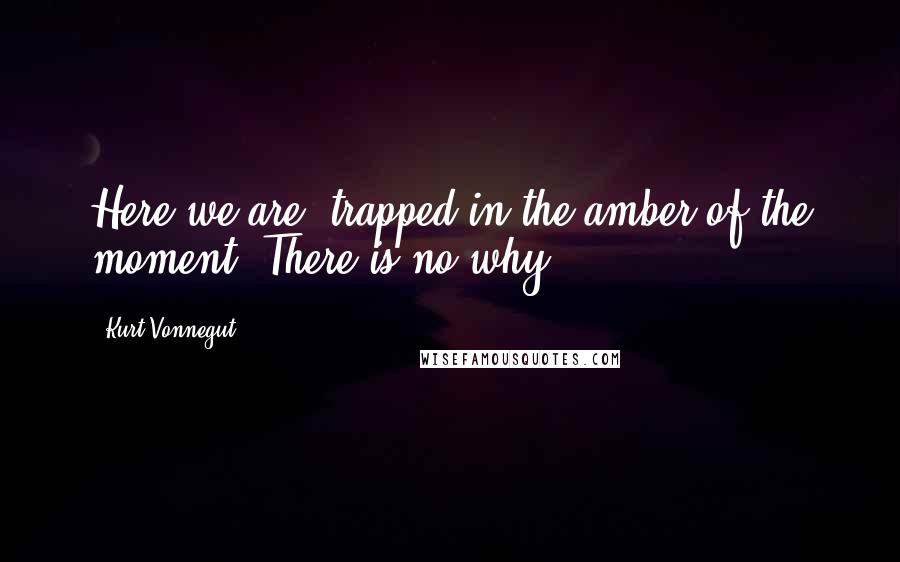 Kurt Vonnegut Quotes: Here we are, trapped in the amber of the moment. There is no why.