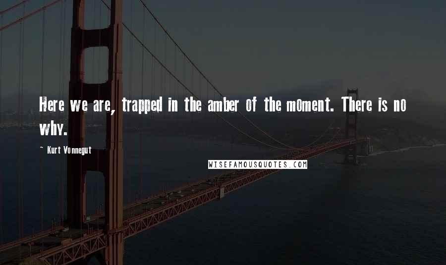 Kurt Vonnegut Quotes: Here we are, trapped in the amber of the moment. There is no why.