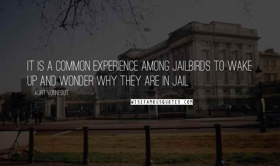 Kurt Vonnegut Quotes: It is a common experience among jailbirds to wake up and wonder why they are in jail