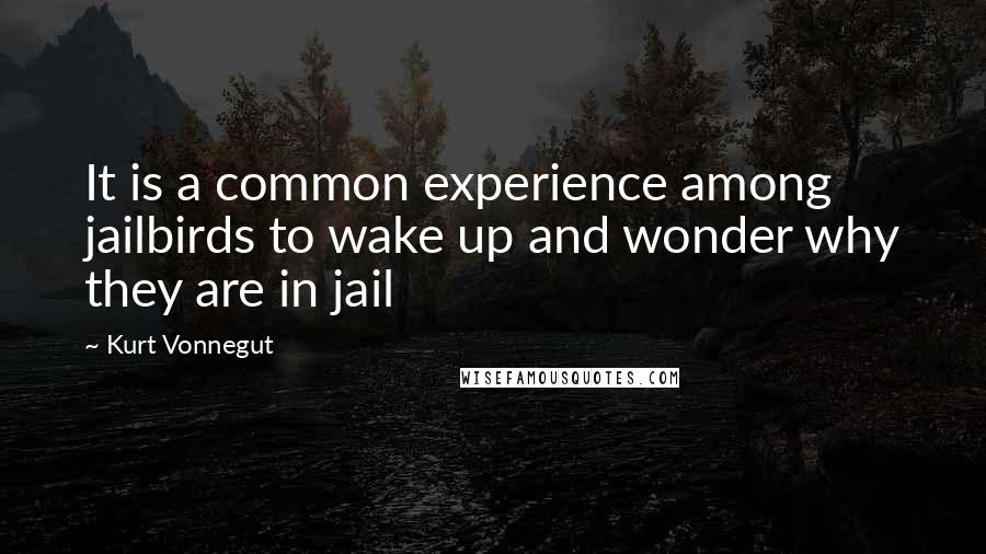 Kurt Vonnegut Quotes: It is a common experience among jailbirds to wake up and wonder why they are in jail