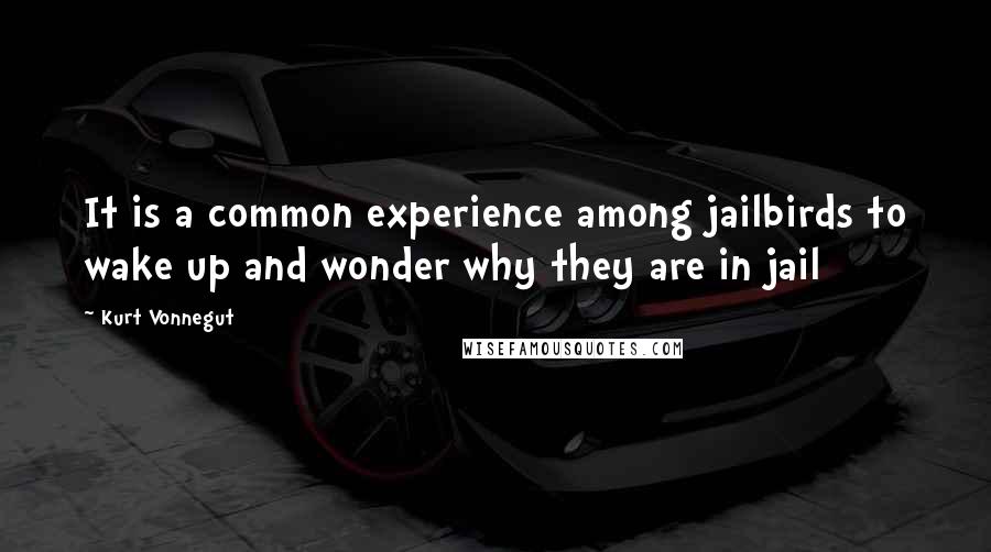 Kurt Vonnegut Quotes: It is a common experience among jailbirds to wake up and wonder why they are in jail
