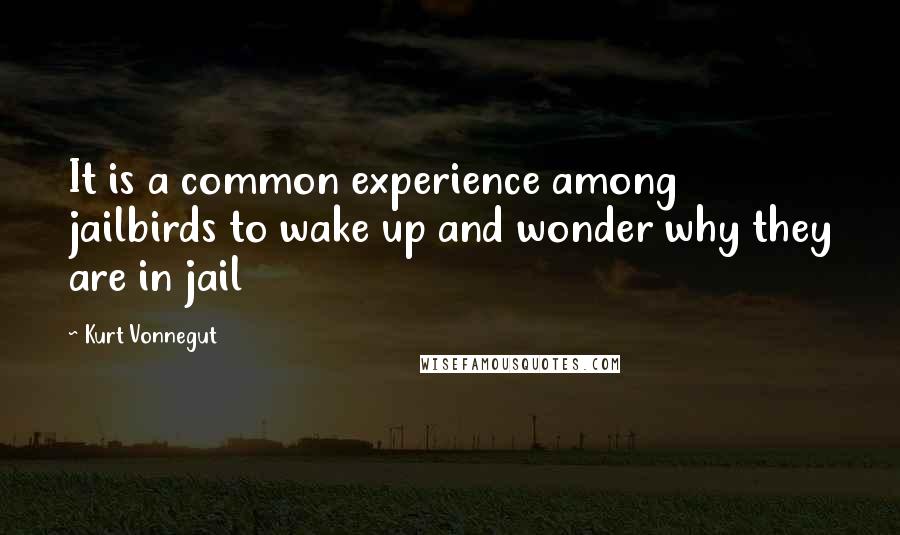 Kurt Vonnegut Quotes: It is a common experience among jailbirds to wake up and wonder why they are in jail