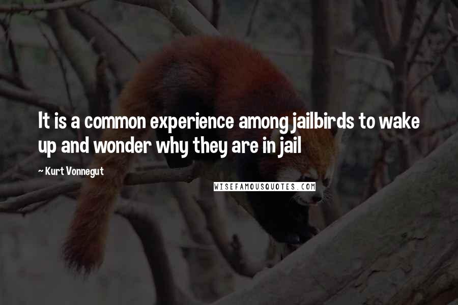 Kurt Vonnegut Quotes: It is a common experience among jailbirds to wake up and wonder why they are in jail