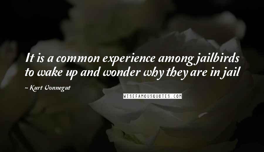 Kurt Vonnegut Quotes: It is a common experience among jailbirds to wake up and wonder why they are in jail