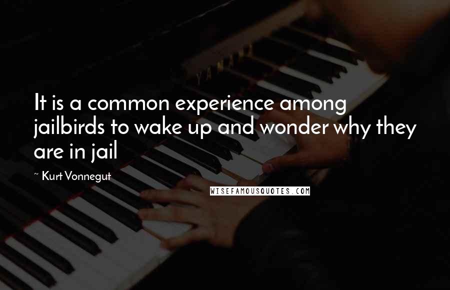 Kurt Vonnegut Quotes: It is a common experience among jailbirds to wake up and wonder why they are in jail